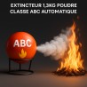 BOULE DE FEU AUTOMATIQUE 1,3KG POUDRE