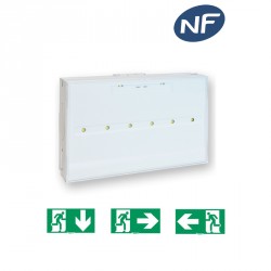 Bloc d'ambiance Toledo SATI 1h IP65 ou IP44